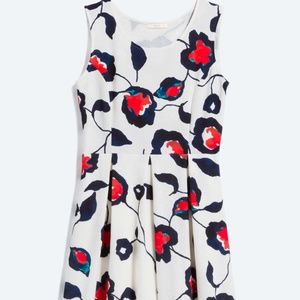 Le Lis Piper Dress Plus Size